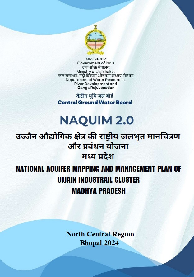 Publication media